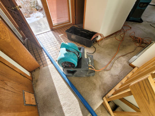 Best 24/7 water damage repair  in Orfordville, WI