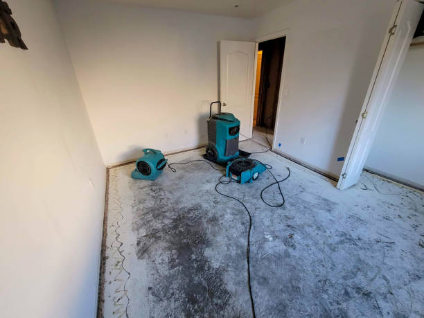 Best Basement water damage restoration  in Orfordville, WI