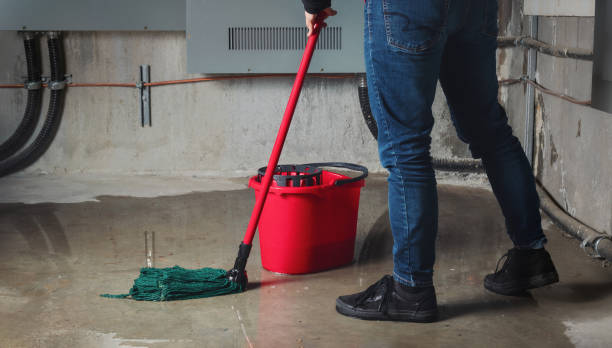 Best Water damage restoration near me  in Orfordville, WI