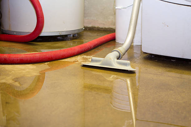 Best Basement water damage restoration  in Orfordville, WI