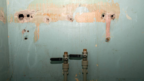 Best Commercial water damage restoration  in Orfordville, WI