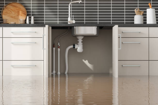 Best Water damage cleanup near me  in Orfordville, WI