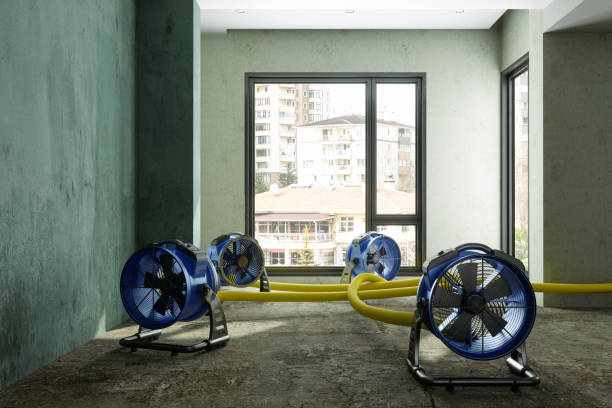 Best 24-hour water damage restoration  in Orfordville, WI